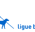 Ligue_Braille.png